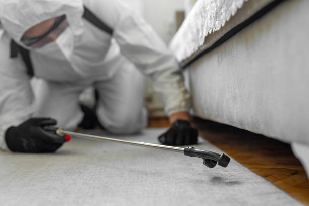 Professional Bed Bug Control technician working in Calcasieu Parish County, LA